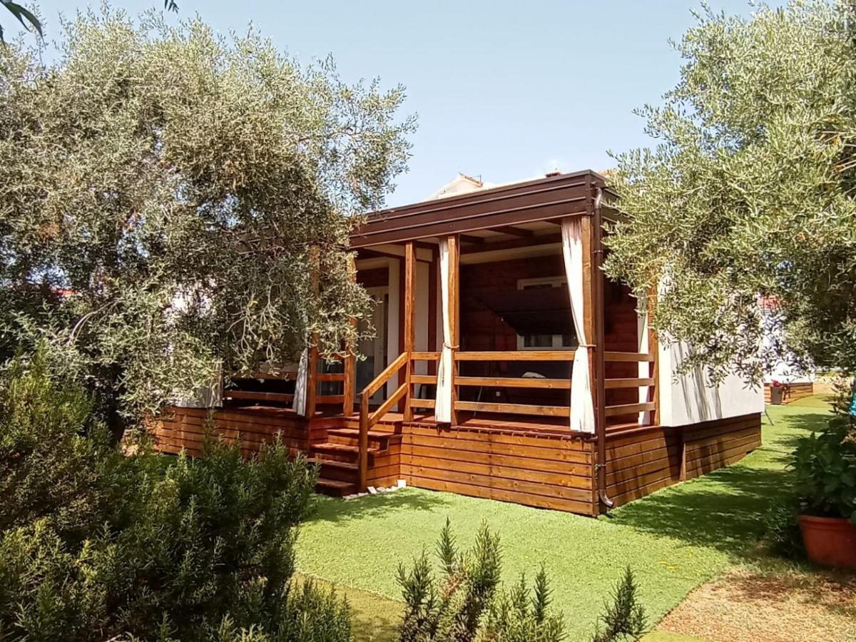 Mobile Homes Olive And Sea Бибине Екстериор снимка